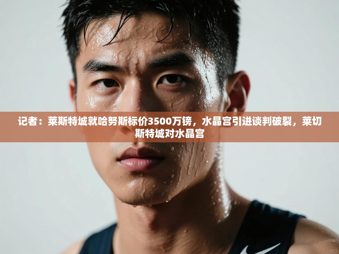 蓝鲸体育足球直播在线观看-记者：莱斯特城就哈努斯标价3500万镑，水晶宫引进谈判破裂，莱切斯特城对水晶宫  第4张