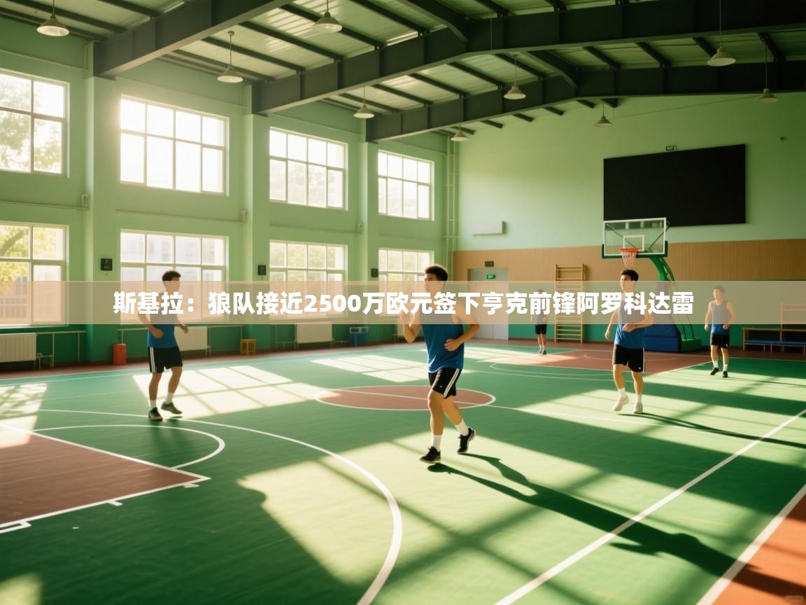 蓝鲸体育在线直播-斯基拉：狼队接近2500万欧元签下亨克前锋阿罗科达雷  第1张