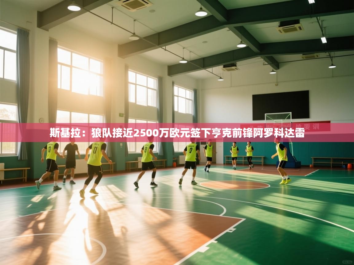 蓝鲸体育在线直播-斯基拉：狼队接近2500万欧元签下亨克前锋阿罗科达雷  第2张