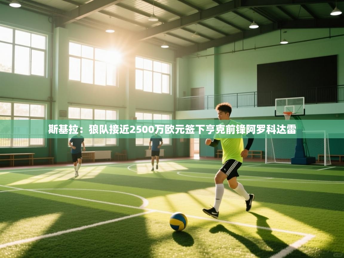 蓝鲸体育在线直播-斯基拉：狼队接近2500万欧元签下亨克前锋阿罗科达雷  第3张