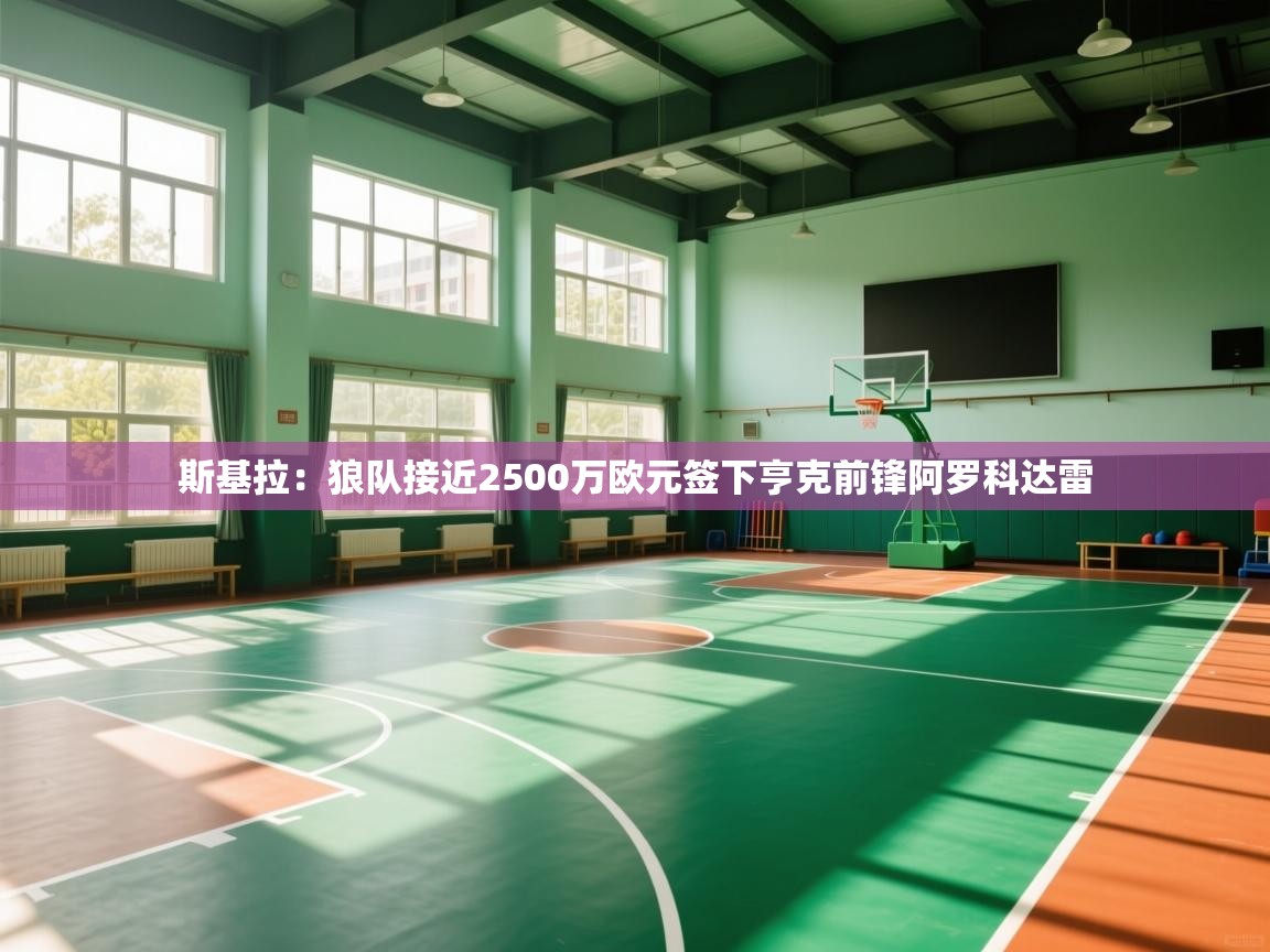 蓝鲸体育在线直播-斯基拉：狼队接近2500万欧元签下亨克前锋阿罗科达雷  第4张