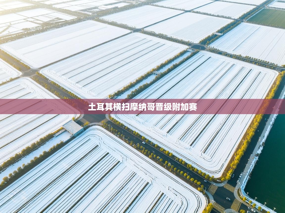 蓝鲸体育网页版-土耳其横扫摩纳哥晋级附加赛 第2张