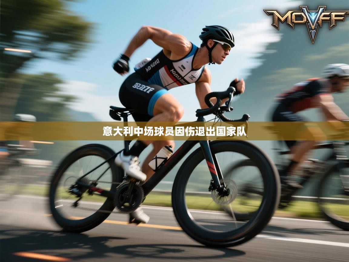 蓝鲸体育直播平台-意大利中场球员因伤退出国家队  第2张