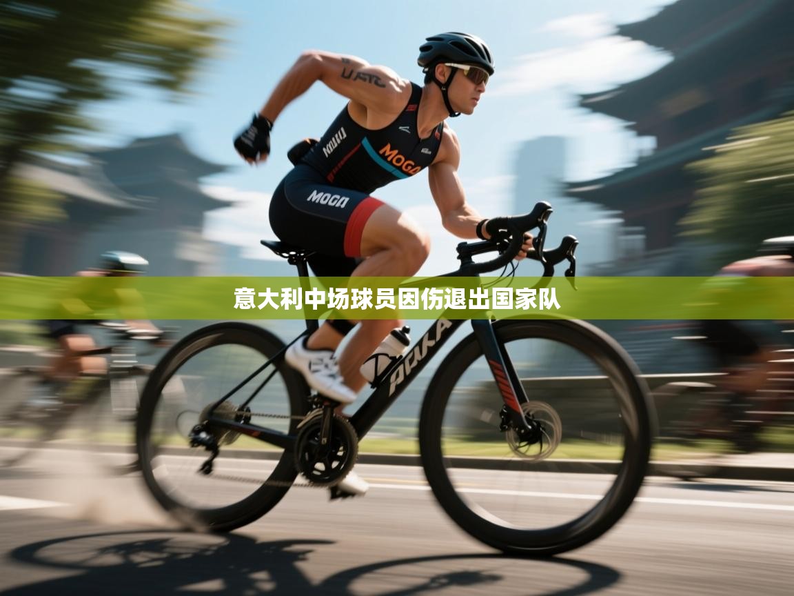 蓝鲸体育直播平台-意大利中场球员因伤退出国家队  第4张