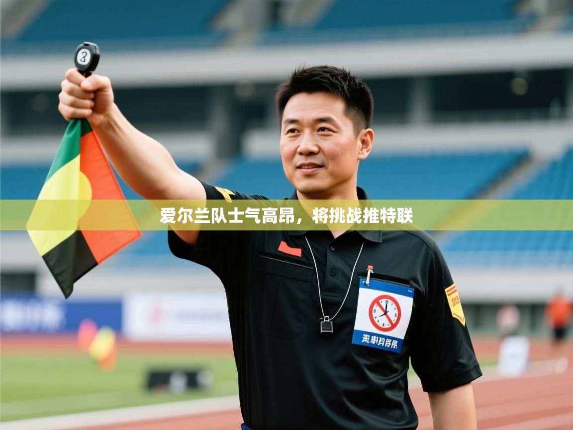 蓝鲸体育网页版网址-爱尔兰队士气高昂,将挑战推特联 第3张