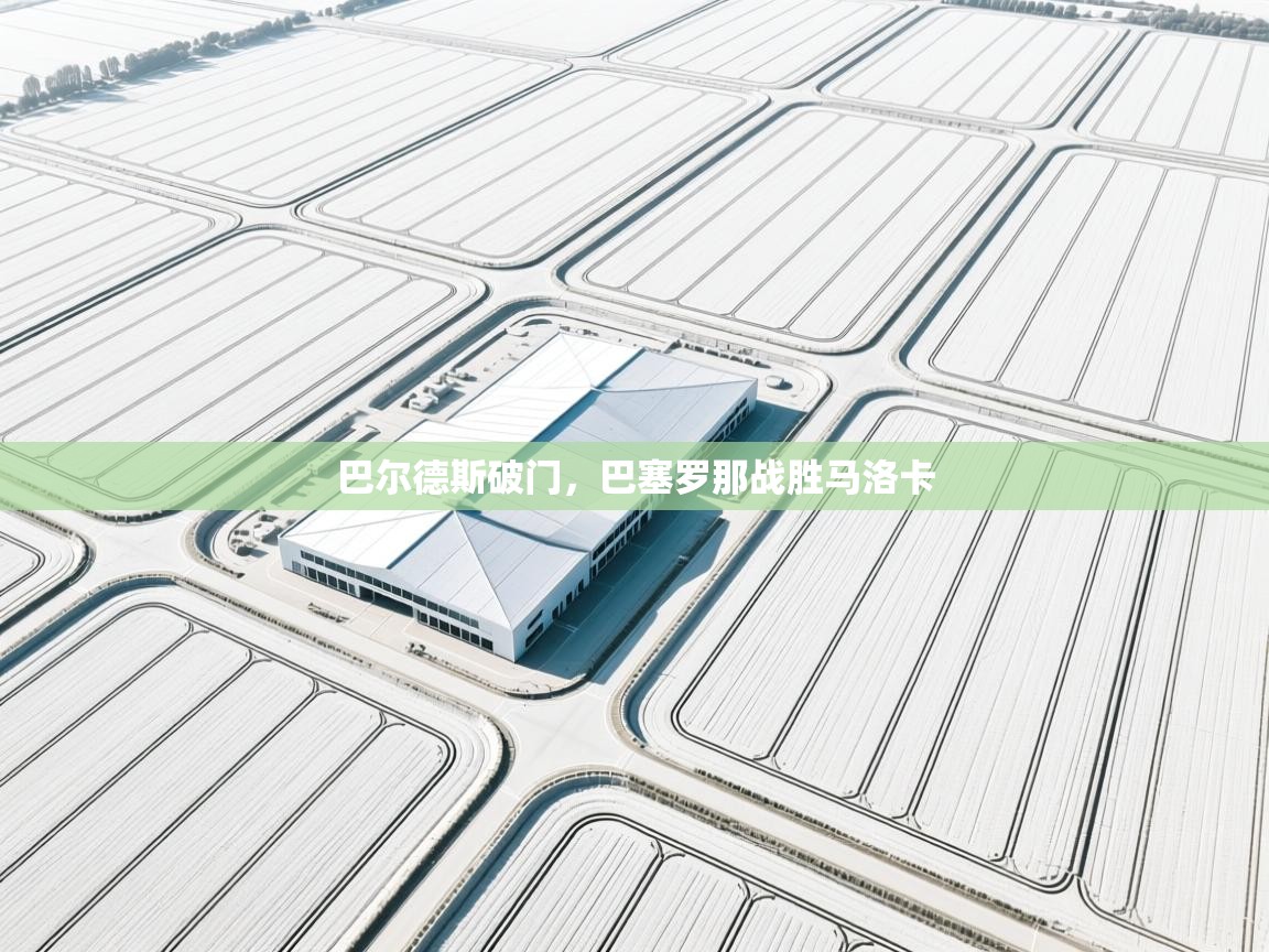 蓝鲸体育app官方下载-巴尔德斯破门,巴塞罗那战胜马洛卡 第3张