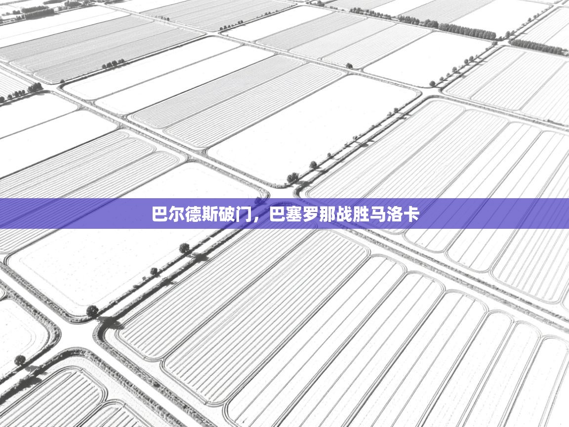 蓝鲸体育app官方下载-巴尔德斯破门,巴塞罗那战胜马洛卡 第4张