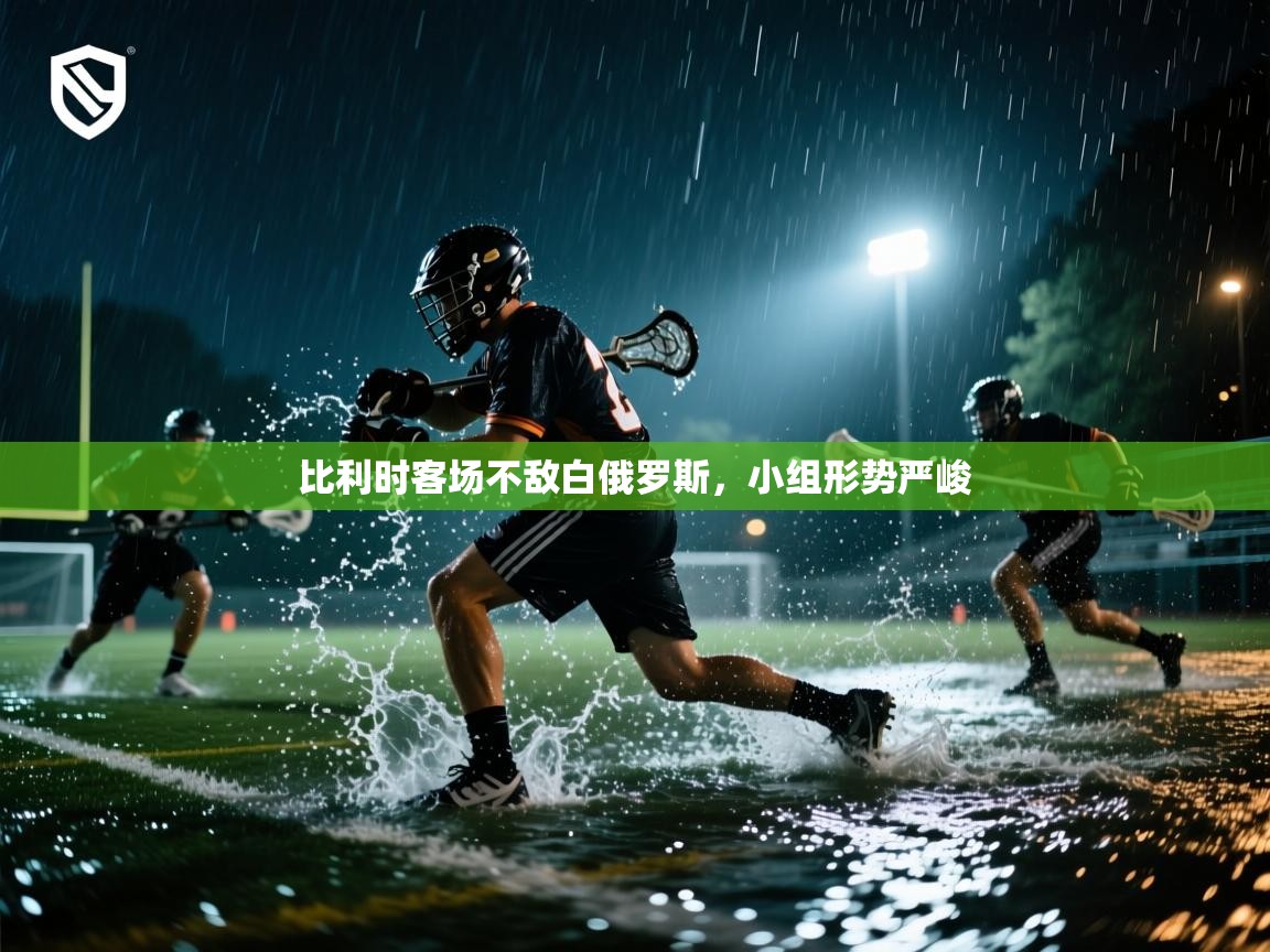 蓝鲸体育app电脑版下载-比利时客场不敌白俄罗斯，小组形势严峻  第4张