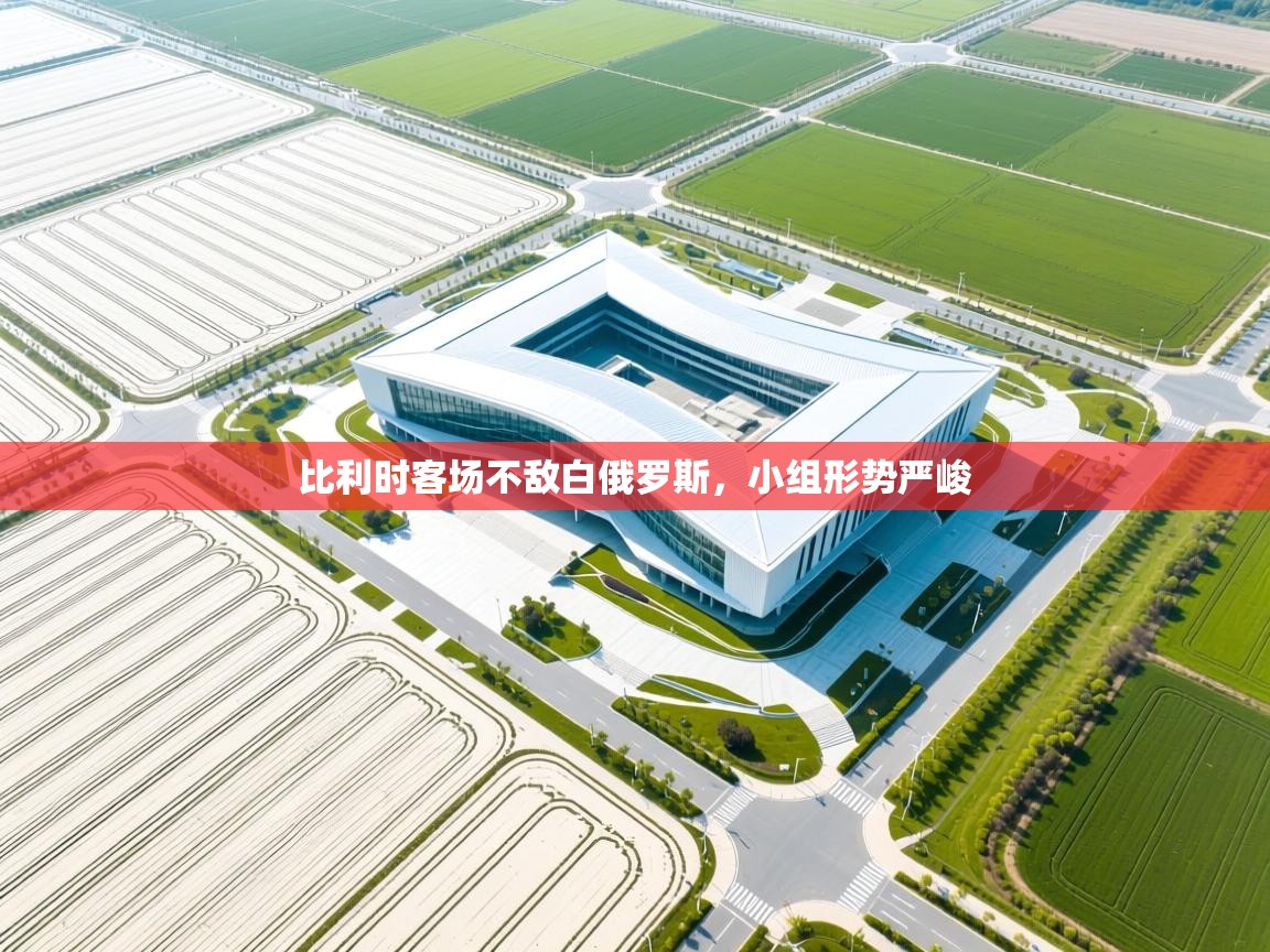 蓝鲸体育app电脑版下载-比利时客场不敌白俄罗斯，小组形势严峻  第2张