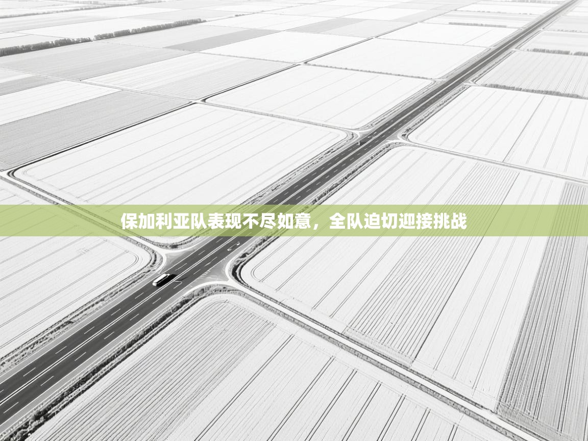 鲸蓝体育-保加利亚队表现不尽如意,全队迫切迎接挑战 第1张