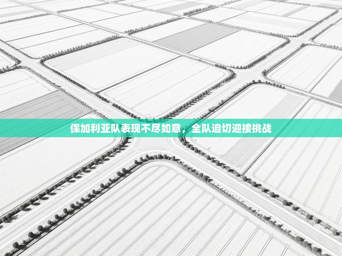 鲸蓝体育-保加利亚队表现不尽如意,全队迫切迎接挑战 第4张