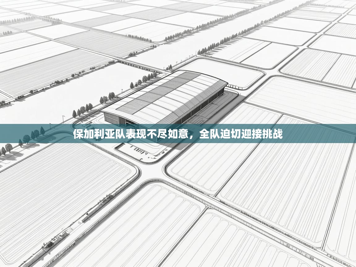 鲸蓝体育-保加利亚队表现不尽如意,全队迫切迎接挑战 第2张