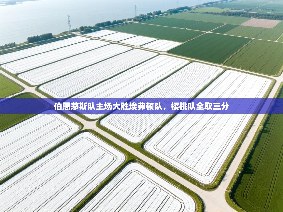 蓝鲸体育网页版-伯恩茅斯队主场大胜埃弗顿队,樱桃队全取三分 第2张